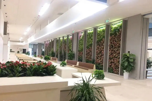 2023年力推的五种办公室装修设计布局